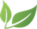 Home Leaf Logo.jpg